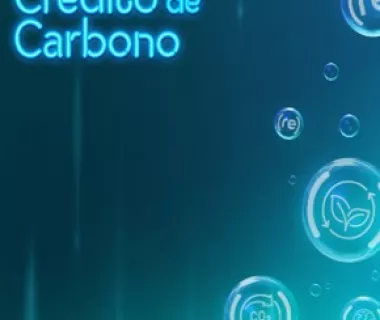 Créditos de Carbono: (re)energisa lança novo produto e reforça comprom